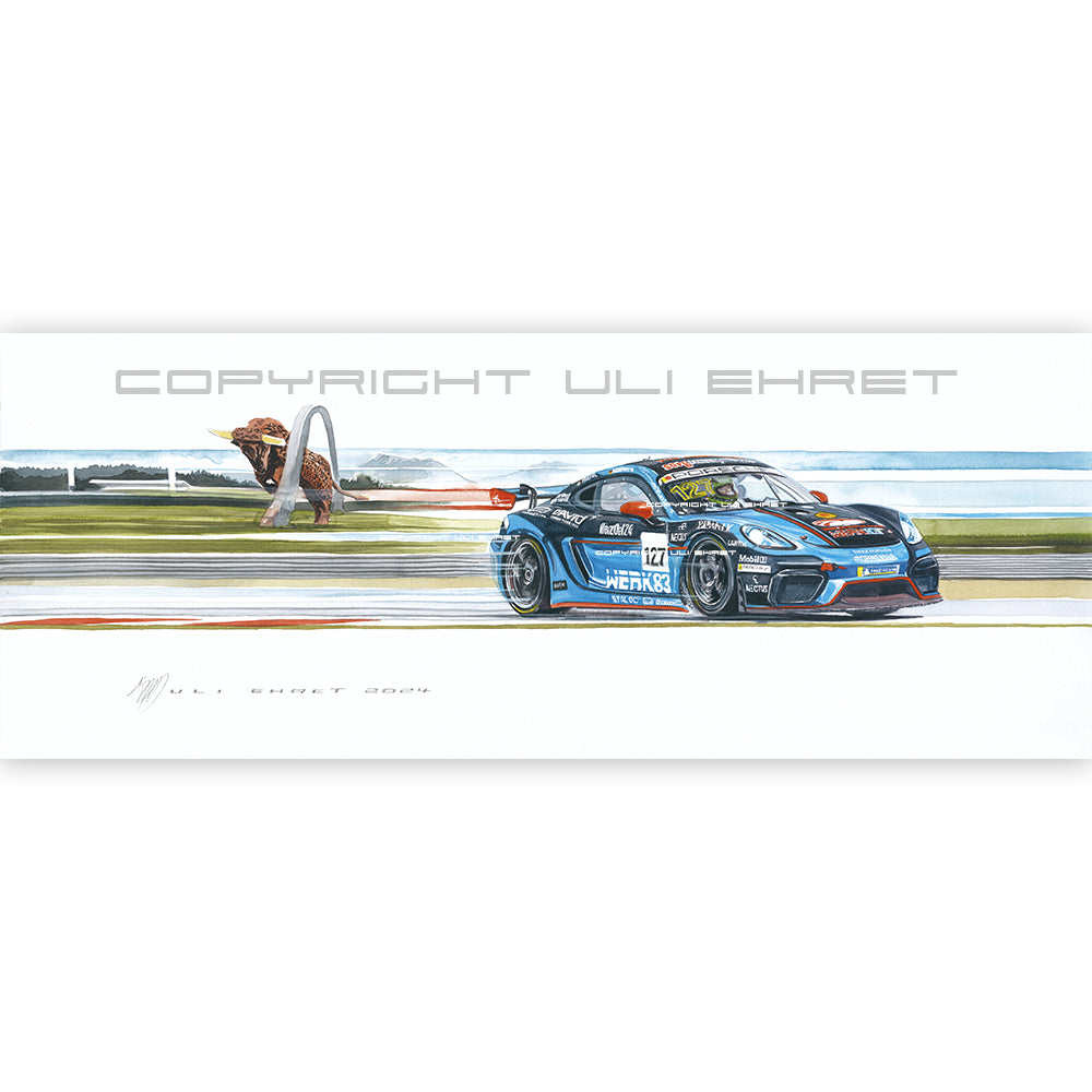 #1263 "Porsche Cayman GT4"