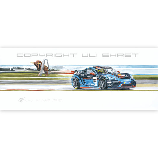 #1263 "Porsche Cayman GT4"