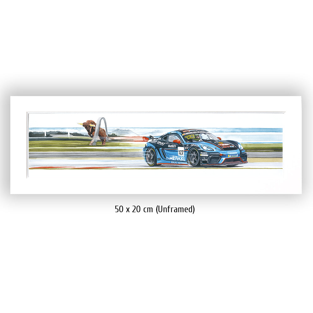 #1263 "Porsche Cayman GT4"