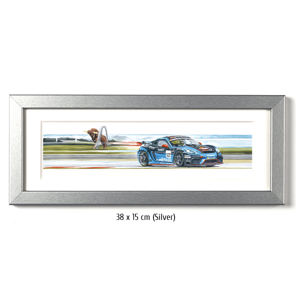 #1263 "Porsche Cayman GT4"