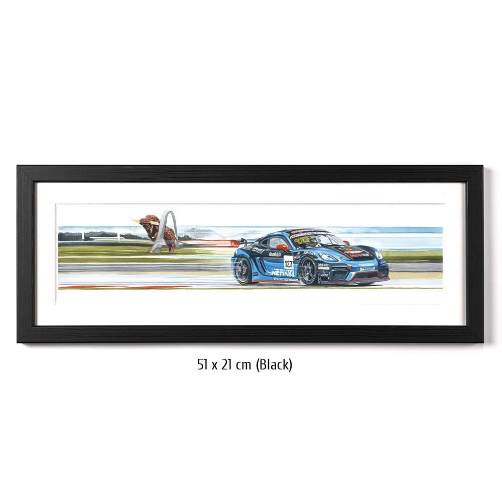 #1263 "Porsche Cayman GT4"