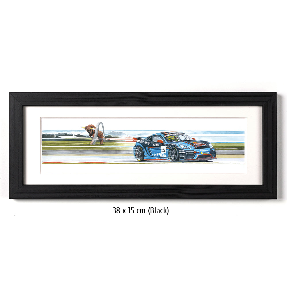 #1263 "Porsche Cayman GT4"