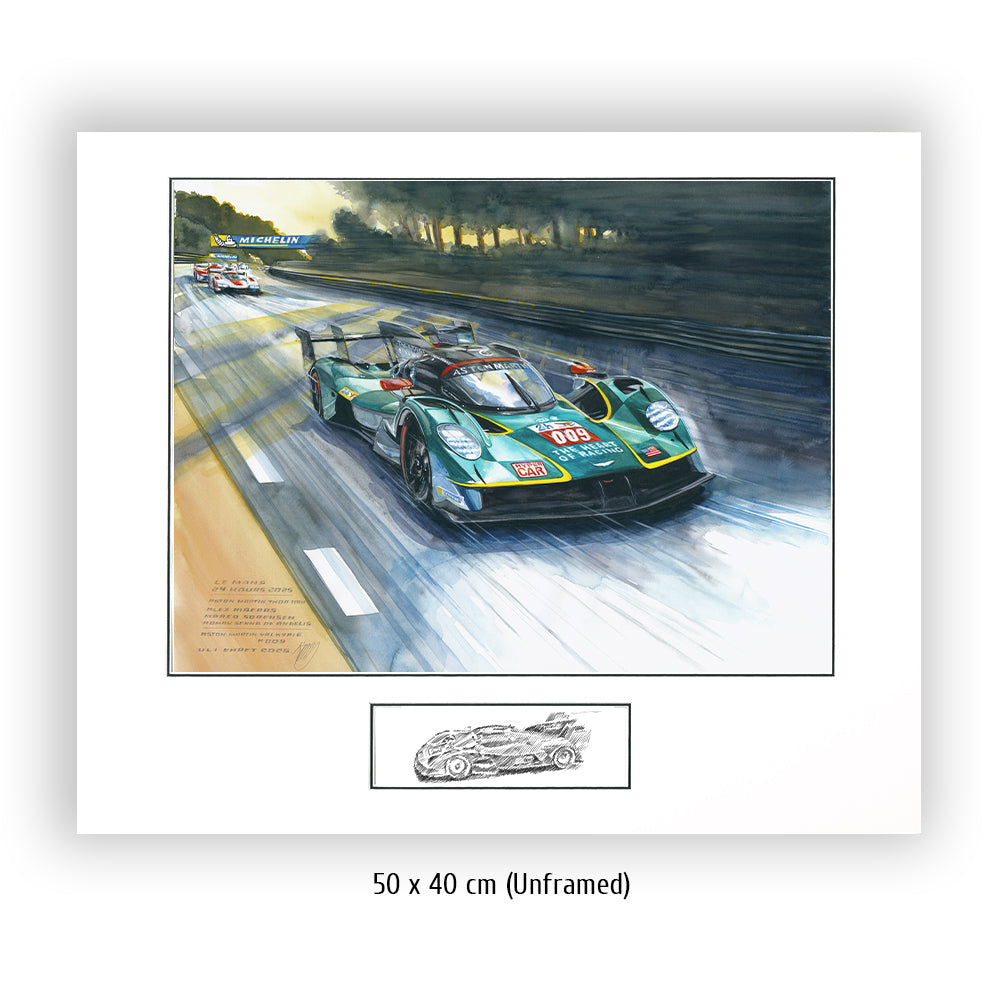 #1309  'Aston Martin THOR Team'