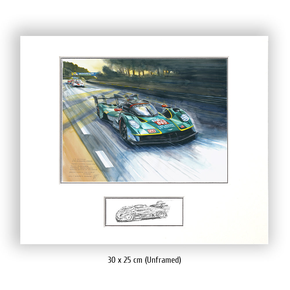 #1309  'Aston Martin THOR Team'