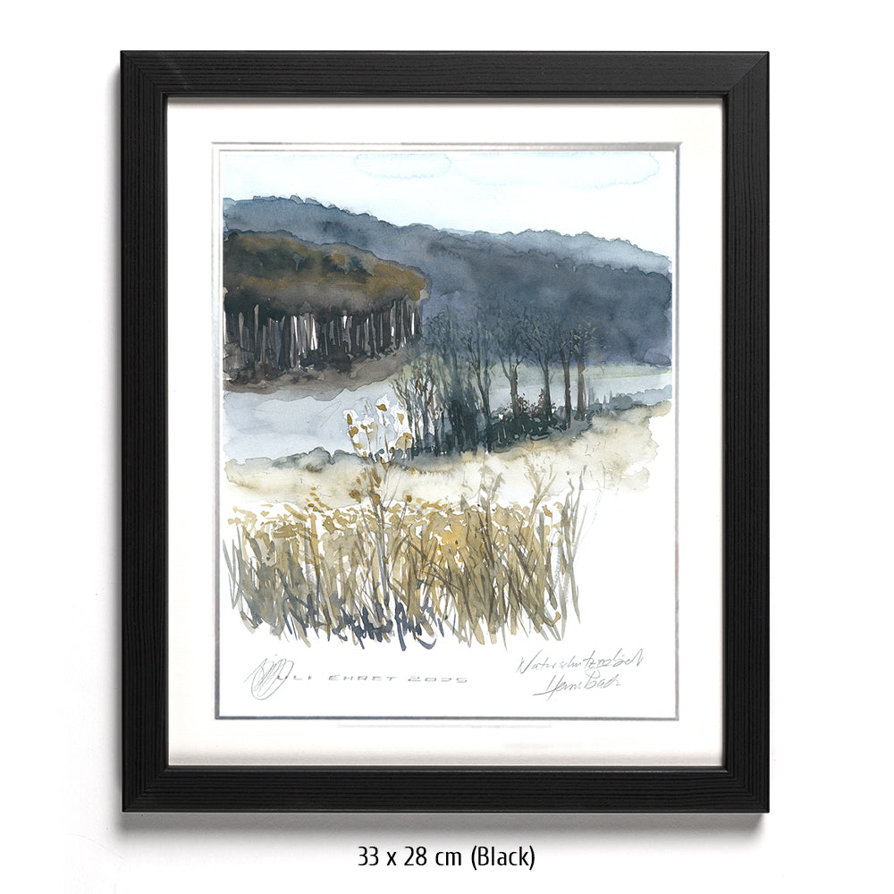 #1341 Naturschutzgebiet "Einzige Wiese"