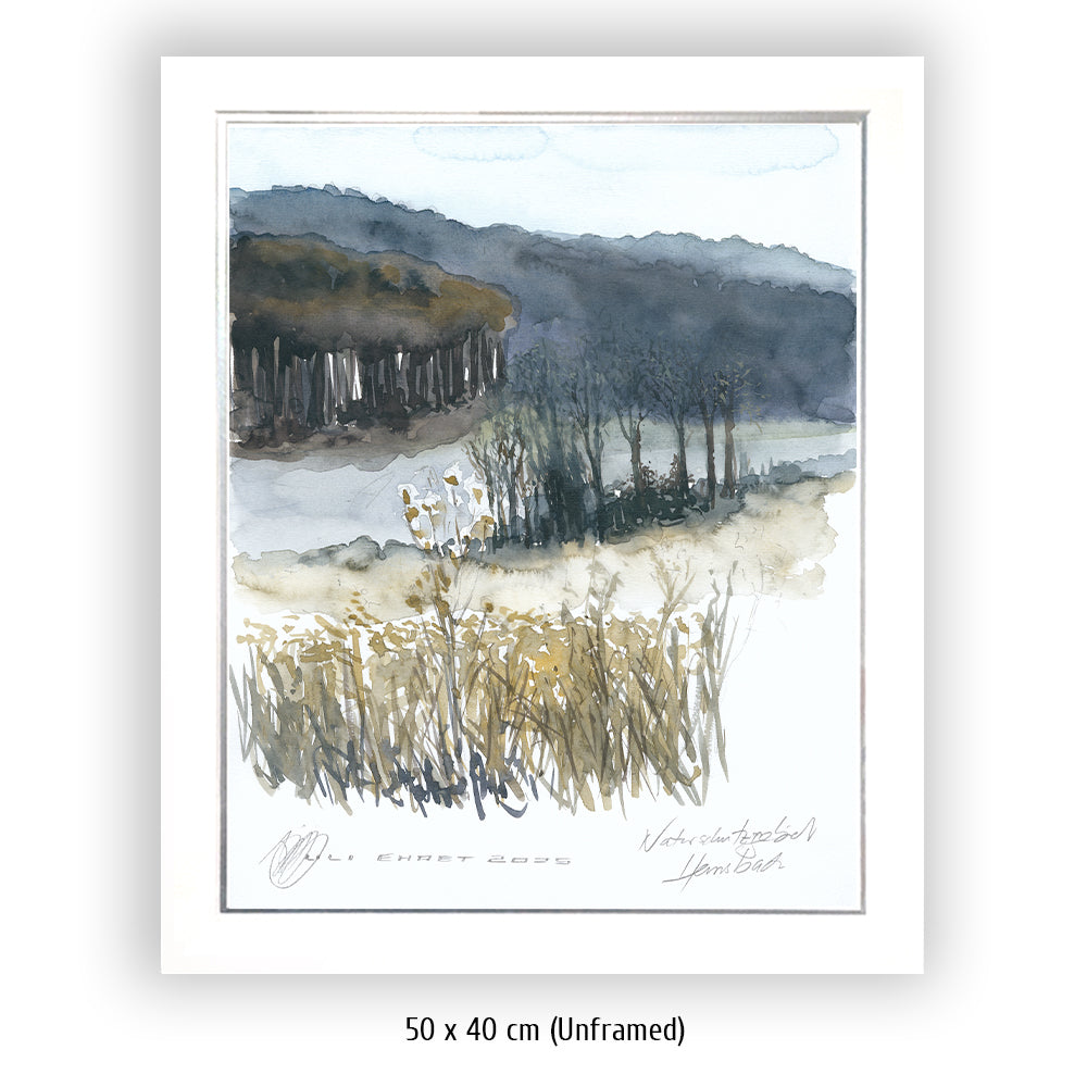 #1341 Naturschutzgebiet "Einzige Wiese"