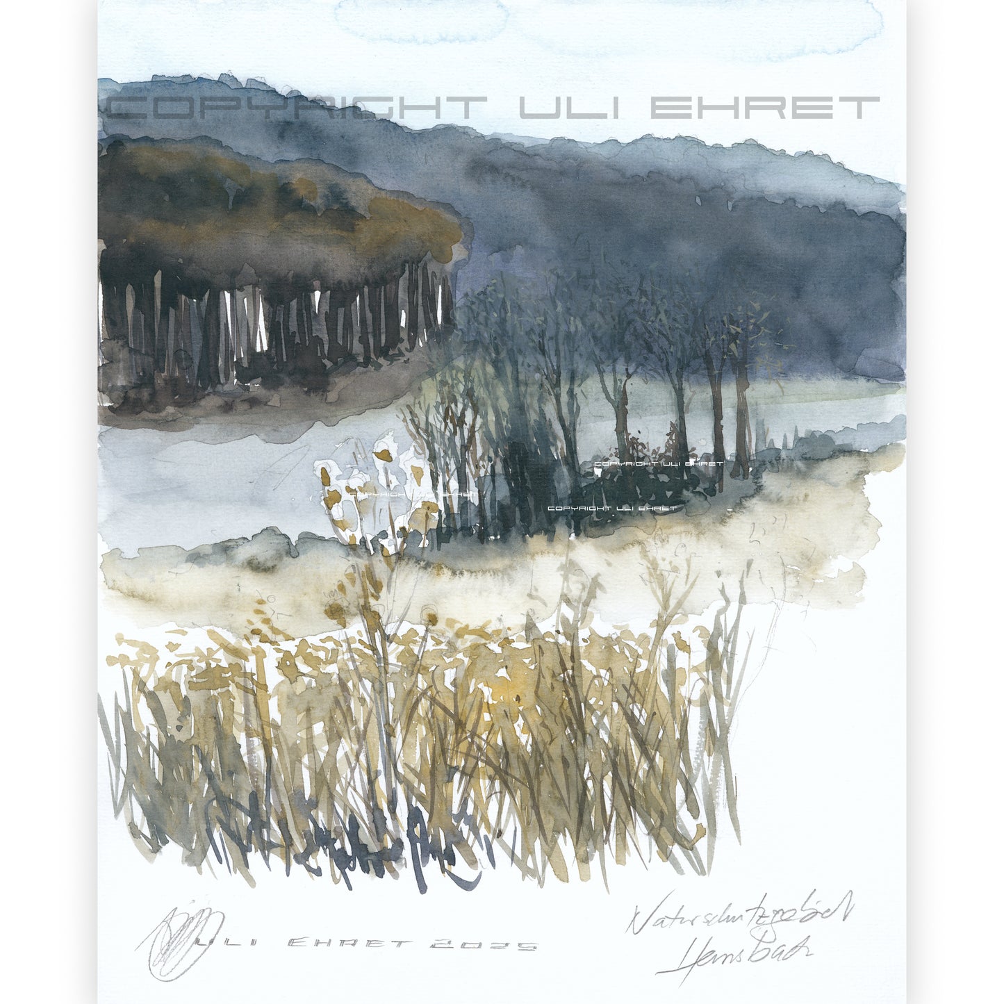 #1341 OR Naturschutzgebiet "Einzige Wiese"