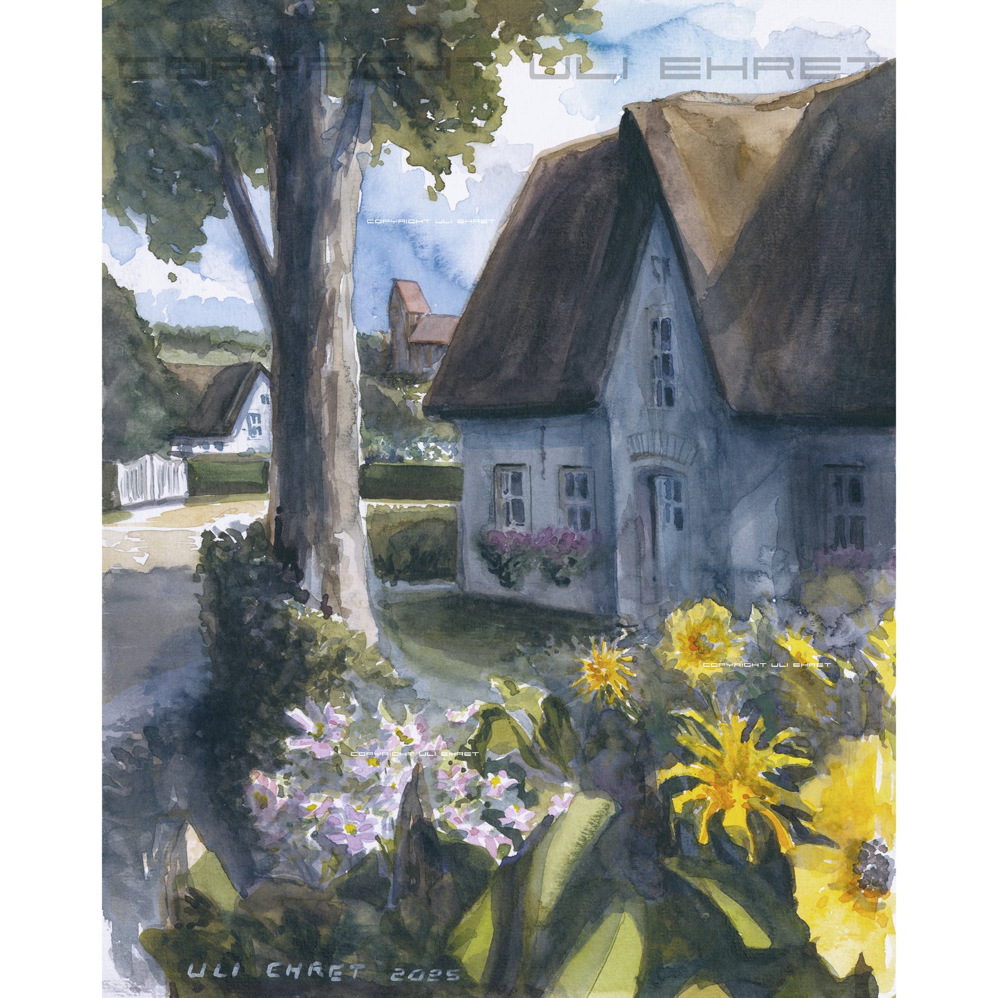 #1365 OR "Nieblum / Föhr"