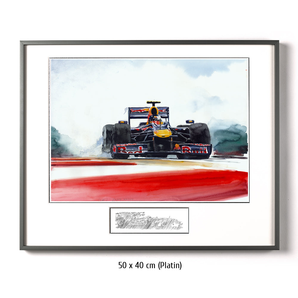 #0287 Sebastian Vettel's Red Bull Renault F1 2010 
