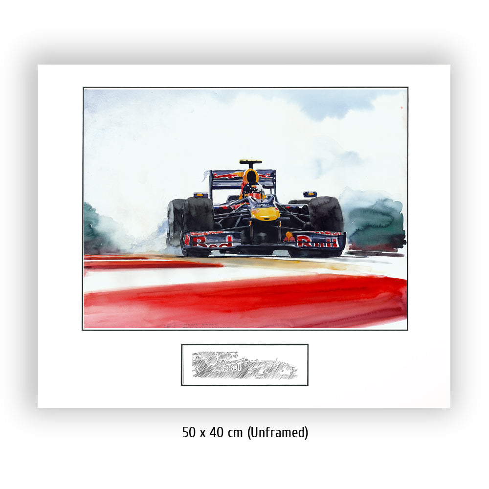#0287 Sebastian Vettel's Red Bull Renault F1 2010 