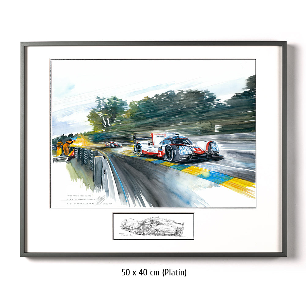#0669B Porsche 919, winner Le Mans 2017