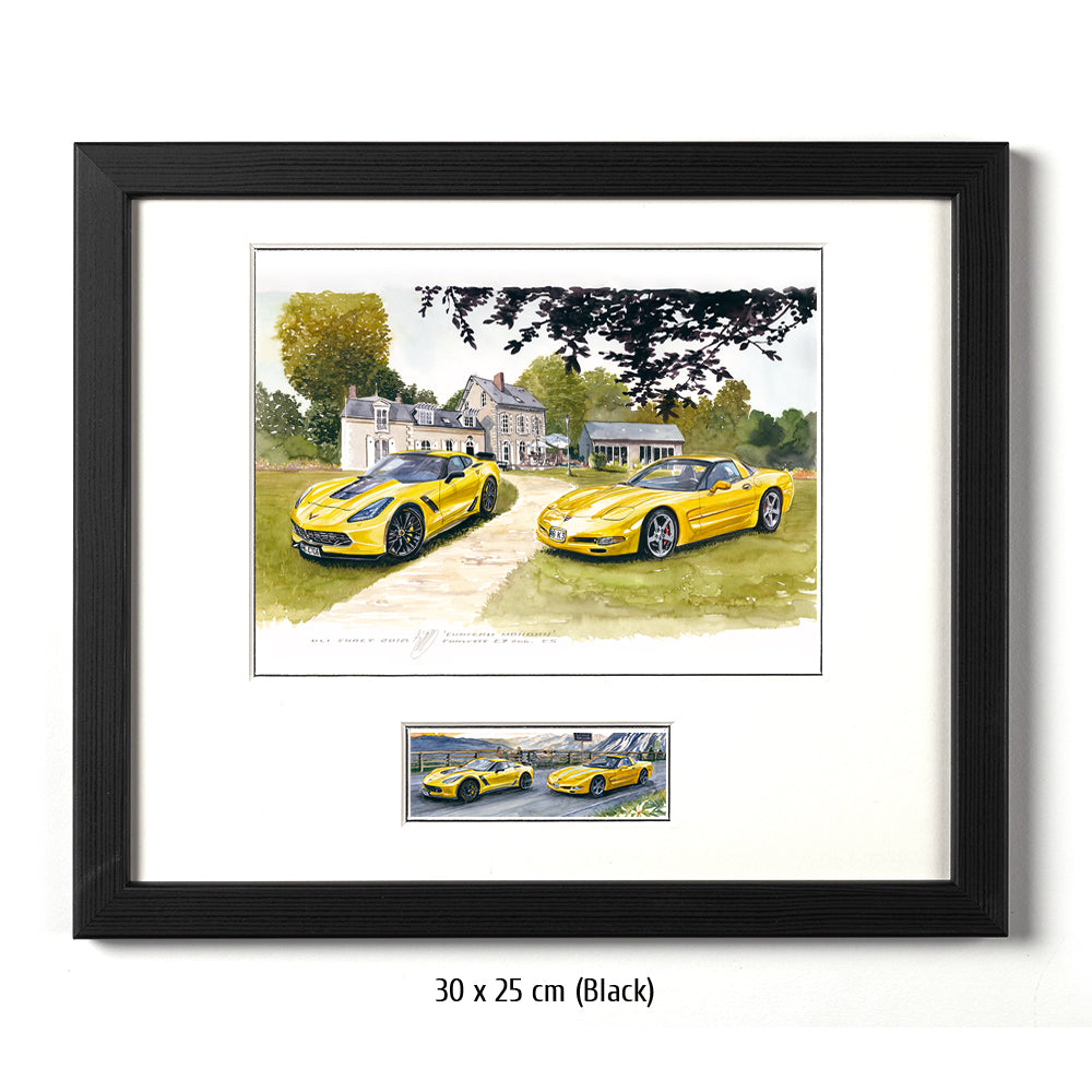 #0721 Corvette C7 Z06 and C5 at Le Mans