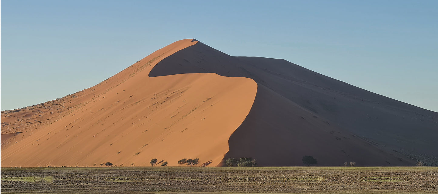 L1020 Big Dune in Sossusvlei